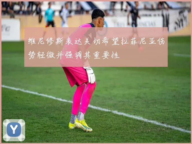 维尼修斯表达关切希望拉菲尼亚伤势轻微并强调其重要性