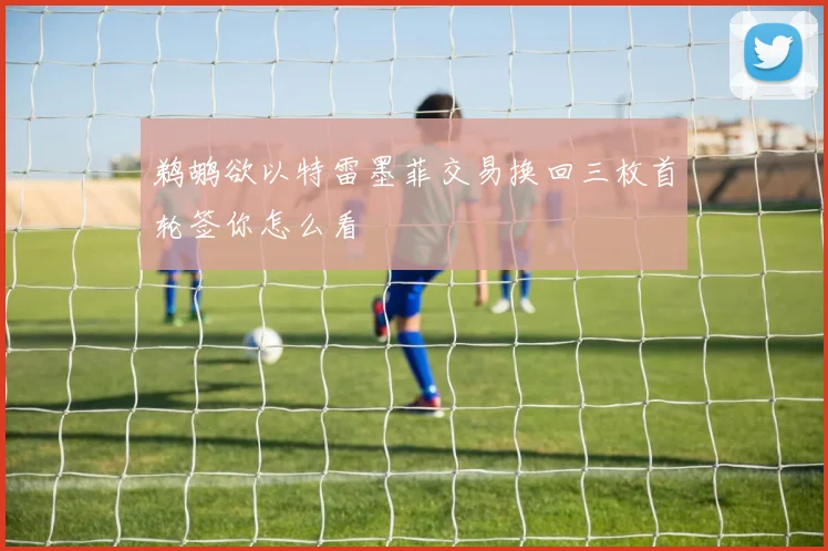 鹈鹕欲以特雷墨菲交易换回三枚首轮签你怎么看